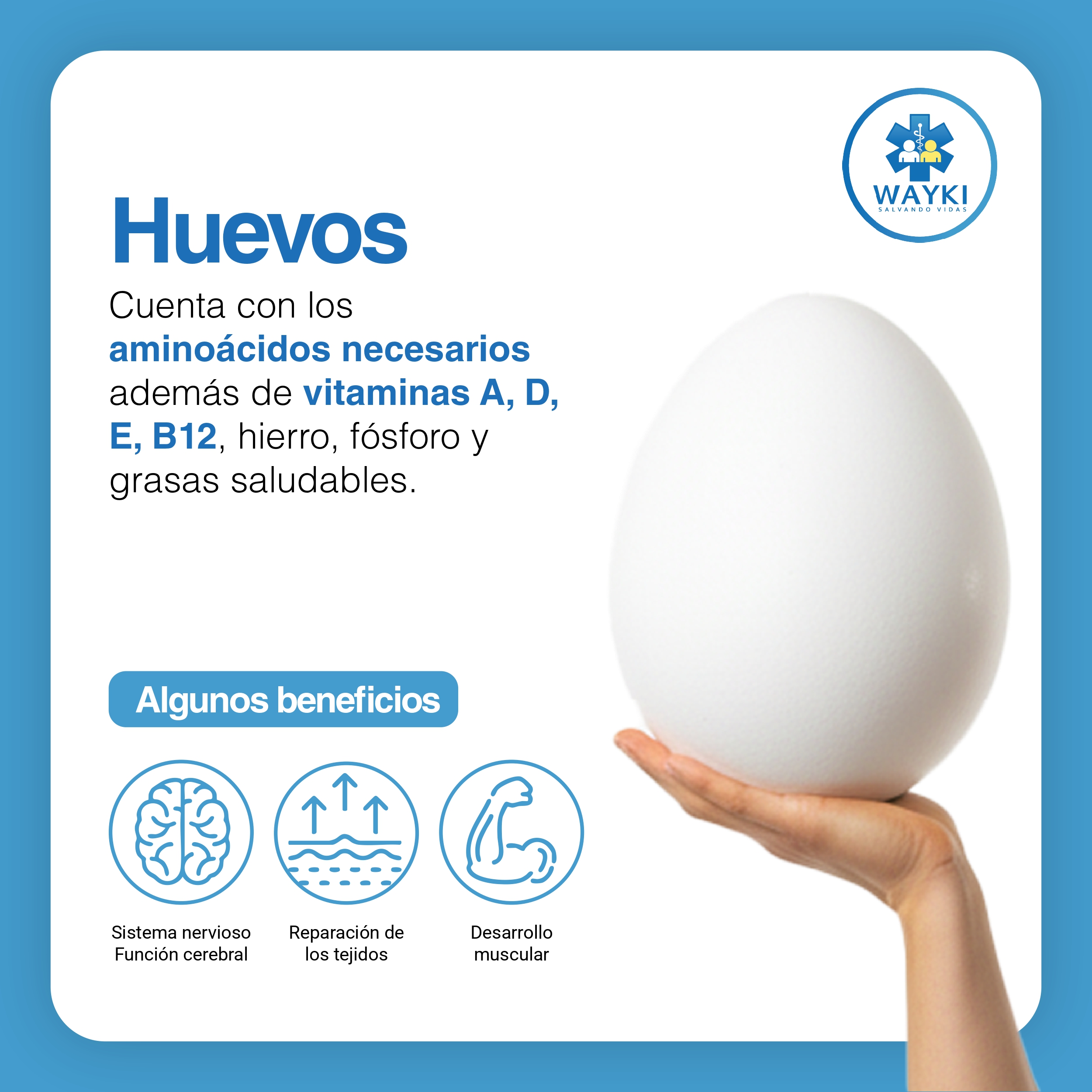 ALIMENTOS_RICOS_EN_PROTEÍNAS_page-0003