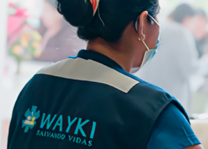 faq-imagen-wayki faq-imagen-wayki