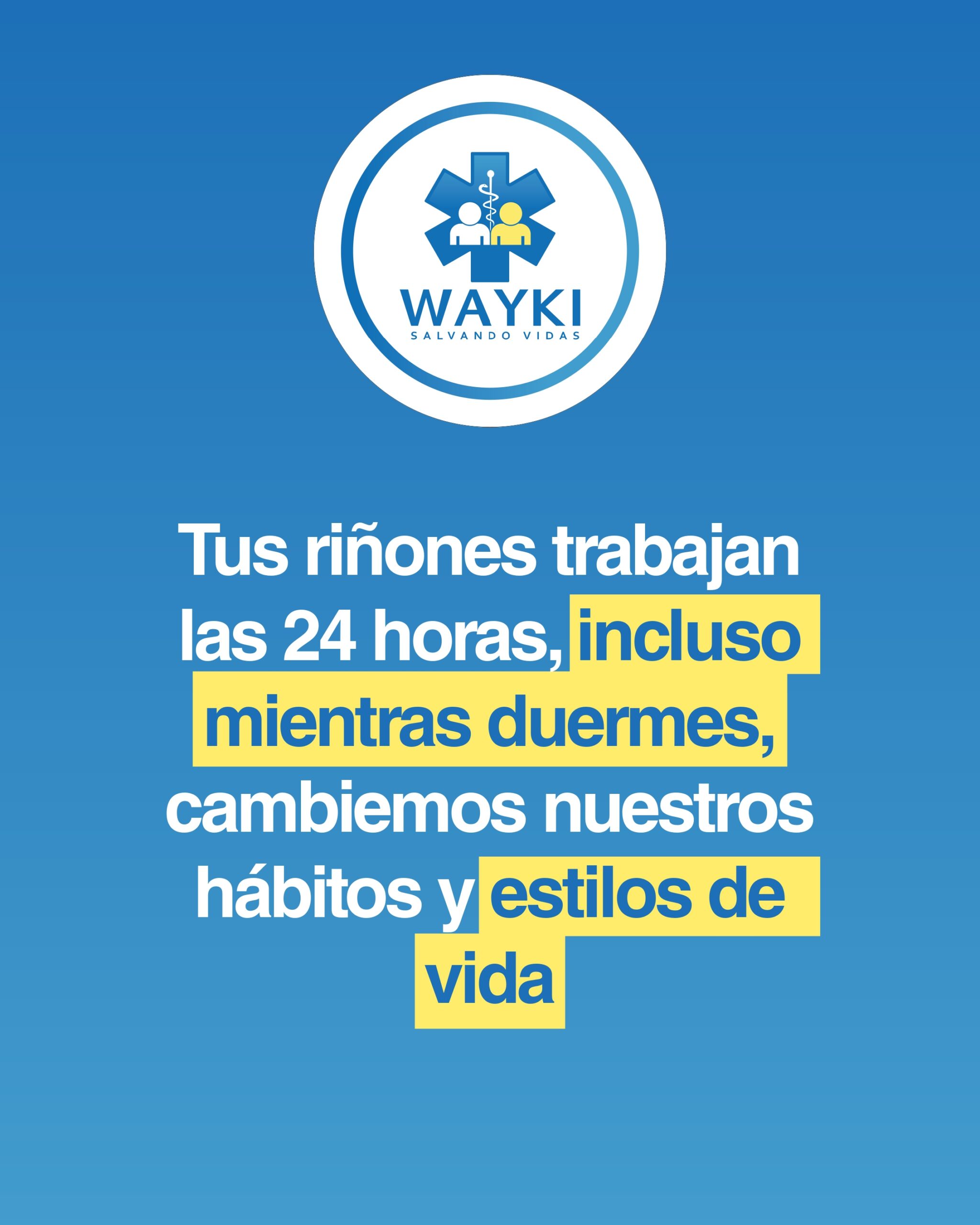 RIÑONES_SANOS_page-0006